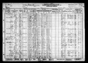 1930 Census Cook Co. IL