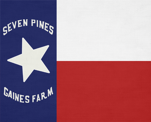 500px-Civil_War_Flags_of_Texas.png