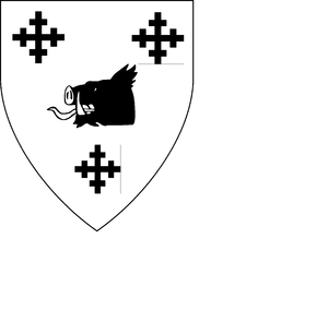 These are the arms of the Amyas family of Norfolk
