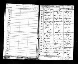 Birth Record Ester Lavina Moore 1877