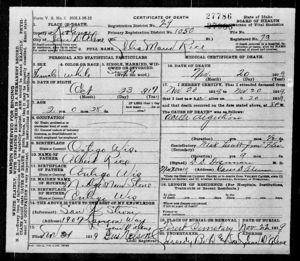 Celia Stone Death Certificate