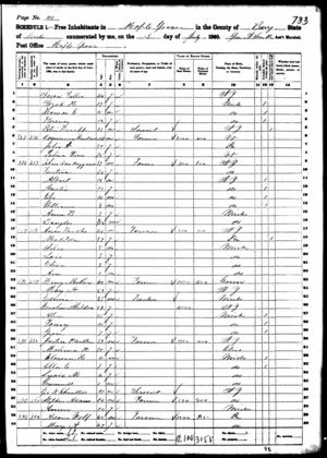 1860 census Parlina Pierce with son Dominicus Hamilton & his wife
