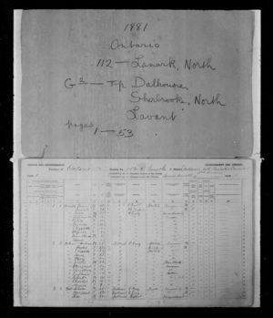 Andrew McInnes 1881 census Ontario
