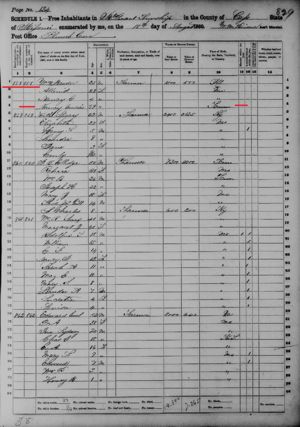 Nancy Massey + Allenia & William Meador 1860 Census