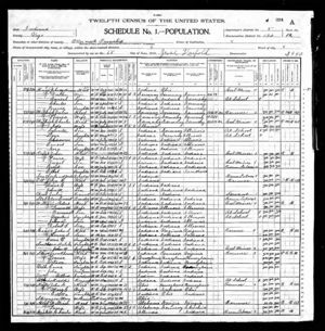 Julius Mattick in 1900 Census