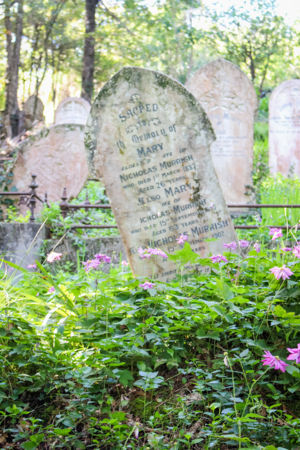 Murrish family headstone at Shortland Cemetery