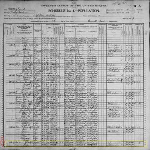 Robertson Family 1900 Census pg 1