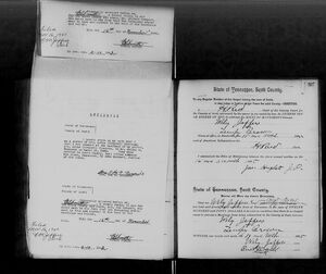 Marriage Record for Bailey C.  Thompson and Artie Newport