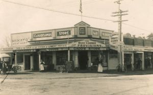 Gadd's Store, Claudelands Image 2
