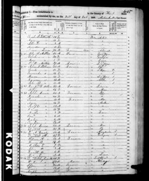 1850 United States Federal Census, Sheet 405