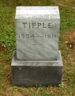 Thomas Tipple