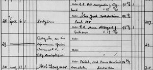 Torbjörn,  Birth Record.