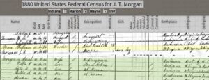 1880 Census Image for James Morgan