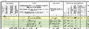 Misspelled name on census form for Matilda Drucilla Spears