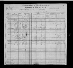 1900 Perry County Census