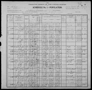 1900 USA Census