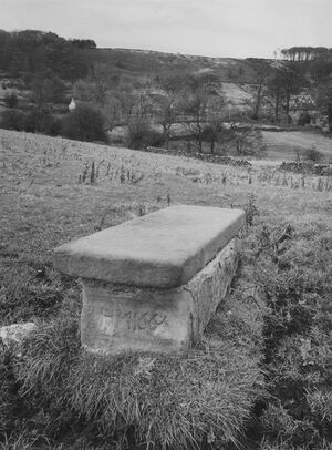 Merrill grave November 1981