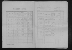 Arch popisný ke sčítání lidu 1921 - 001