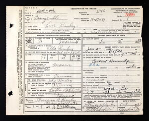 Microfilmed death certificate of Levi Remley, #5999 (1933).