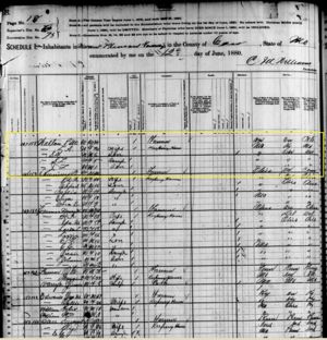 PM & Lee Ann Walton 1880 Census