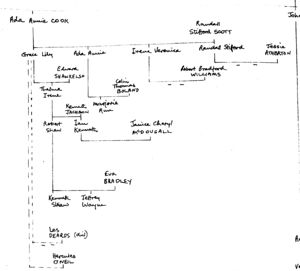 Ada Annie Cook portion of Cook Family Tree ca 1970s