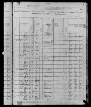 1880 U. S. Federal Census