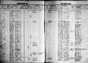 1867-68 Pendleton County Register of Marriages Page 15