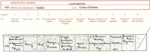 Birth registration for Mary Dawson.
