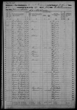 1860 Census for McIntosh Co, GA, USA for Rozier family