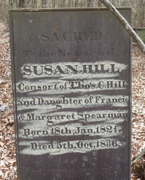 Susan Hill Image 1