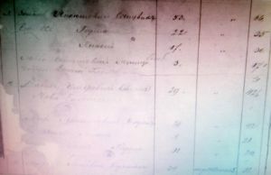1847 Revision List - Druysk - Leiba Munitza son of Samuel