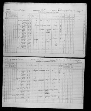 Canada Census 1871: Douglas Thompson
