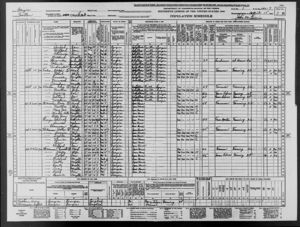 Emmett Williamson United States Census, 1940