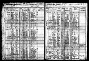 1905 census showing Cohen family