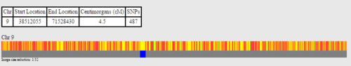 500px-Salgo-1-2.png