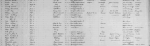 line 24 - John Horn - April 1886 - Bedford, Virginia - Register of Deaths