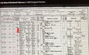 1891 census Lily M E Warnes