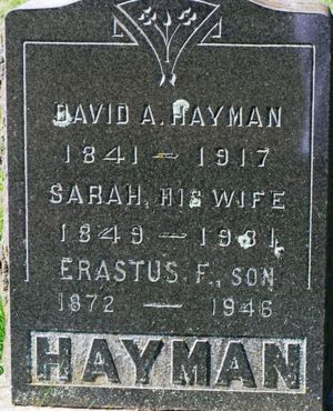 David Archibald Hayman (1841-1917)