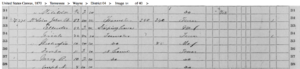 1870 Federal Census, Wayne Co: John Mclain Household