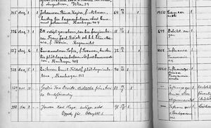 Death Record