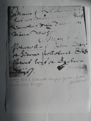 Petronella Denijs Image 2