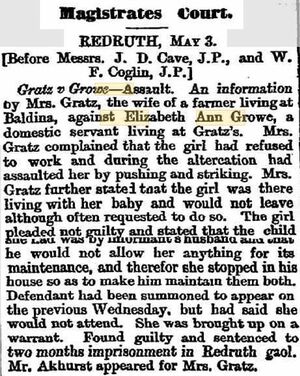 Assault Charge, Gratz v Grow heard in the Redruth Magistrates Court as published 5 May 1882 in the Burra Record, South Australia, Australia