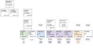 Updated Meyer family trees incorporating y-DNA evidence