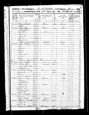 Theodore Smith Family in 1850 Census