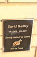 David Hadley