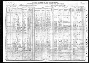 1910 US Census