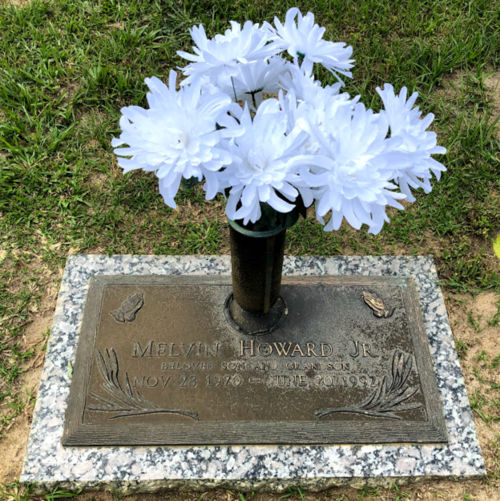 500px-Howard-20127.jpg