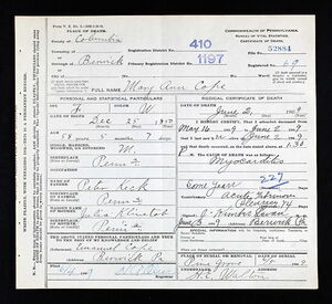 Microfilmed death certificate of Mary Ann Cope, #52884 (1909).