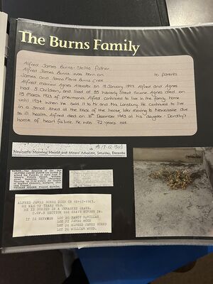 info on Burns descendants