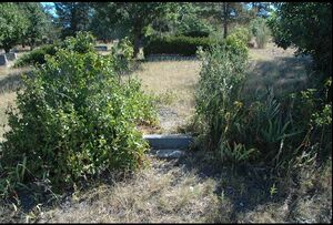 headstone area